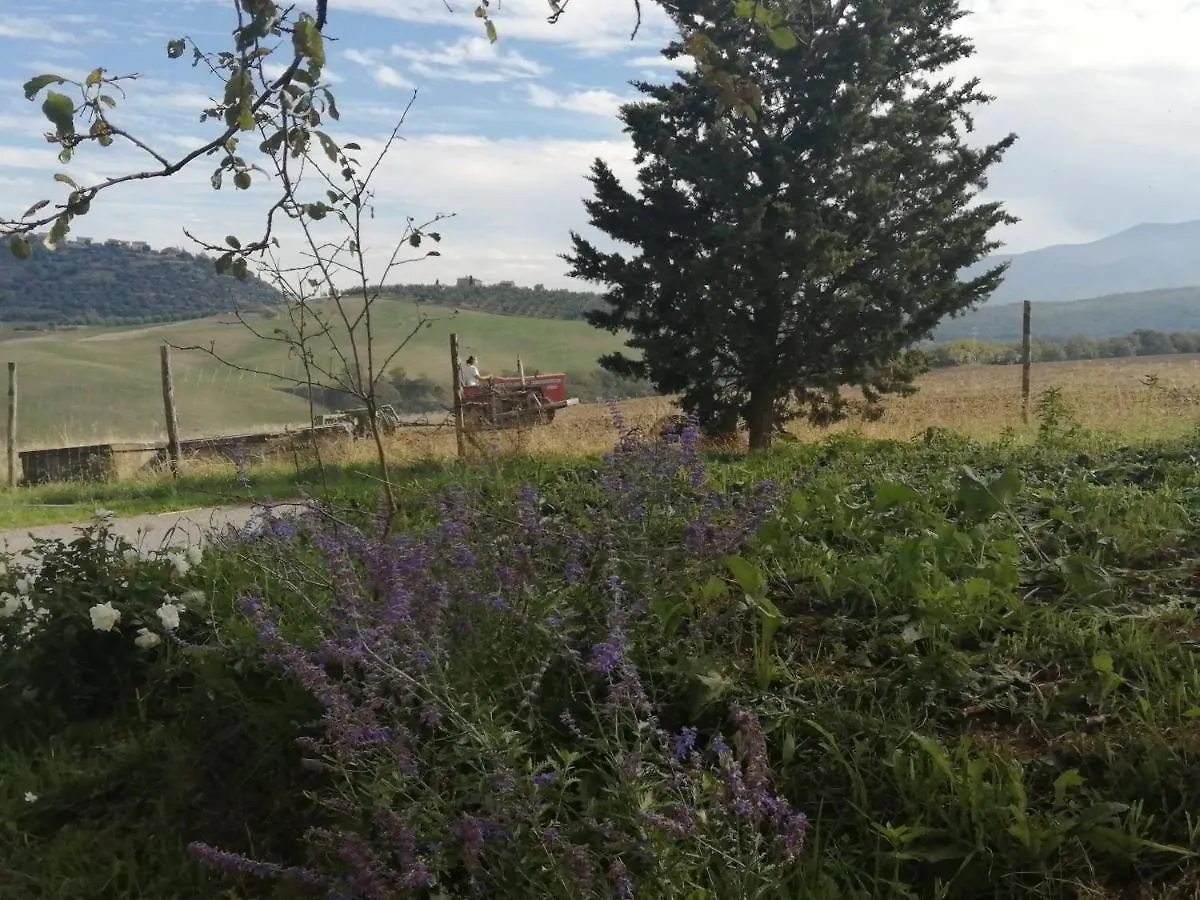 Podere Stabbiatelli Montenero d'Orcia Farm stay