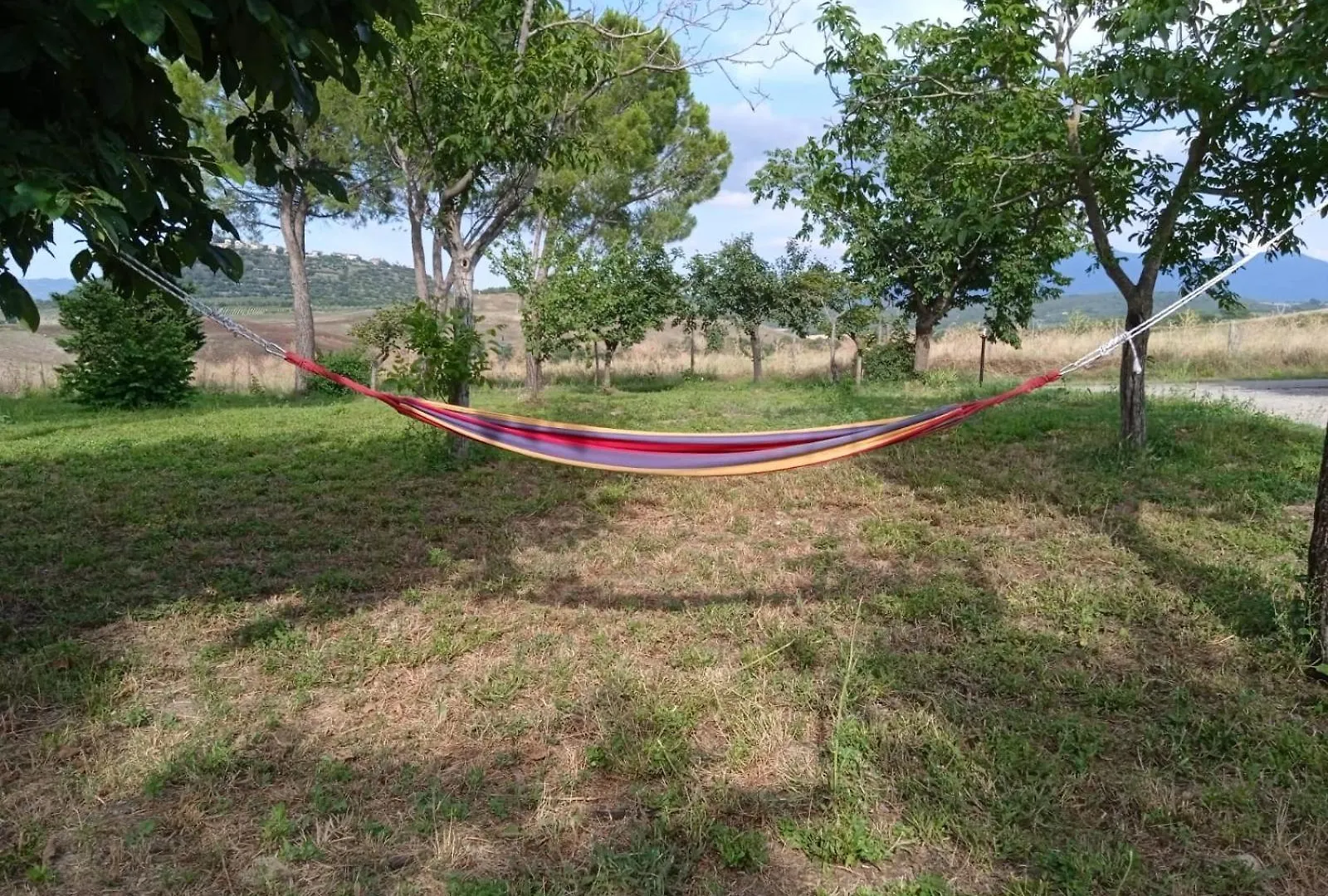 Podere Stabbiatelli Montenero d'Orcia Farm stay