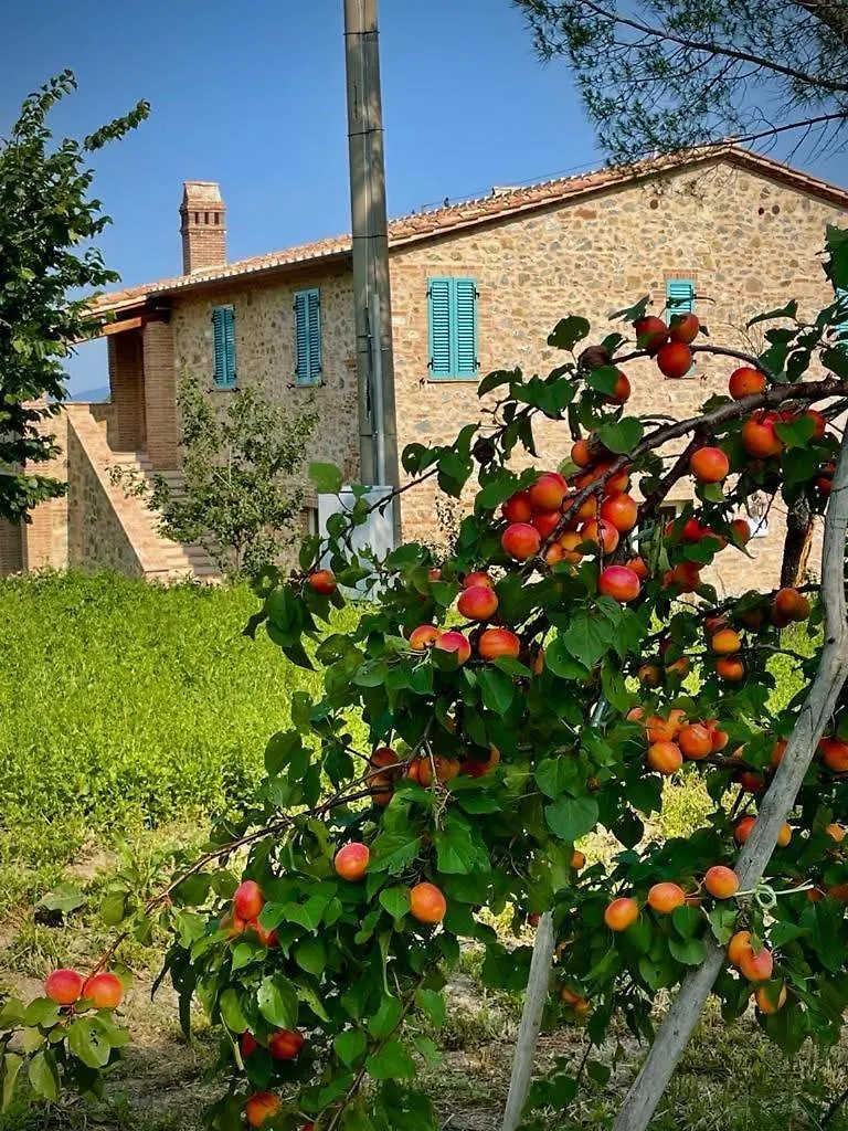 Farm stay Podere Stabbiatelli Montenero d'Orcia Italy