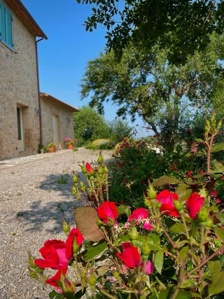 Podere Stabbiatelli Montenero d'Orcia Farm stay