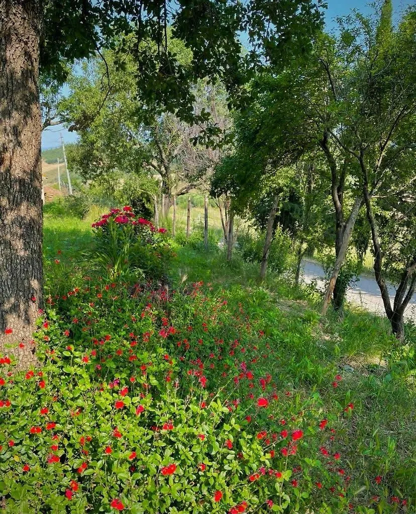 Podere Stabbiatelli Montenero d'Orcia Italy