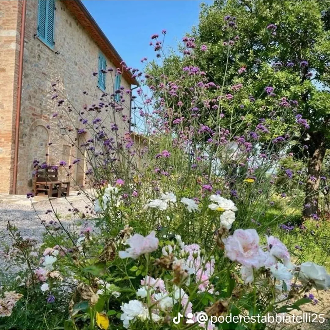 Podere Stabbiatelli Montenero d'Orcia Farm stay